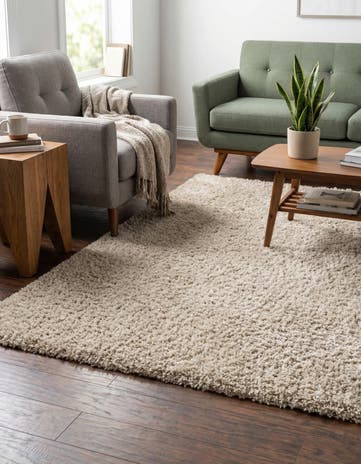 4' x 6' Zermatt Shag Rug