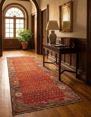 3' 5 x 10' Malayer Rug