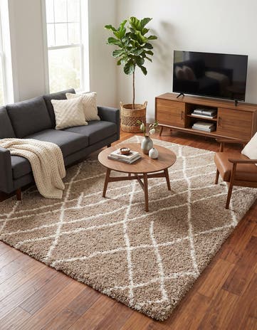 7' 10 x 11' Soft Touch Shag Rug
