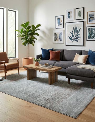 Gray Alexis Rug