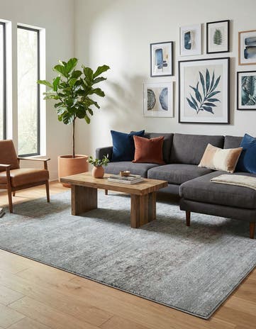 Gray Alexis Rug
