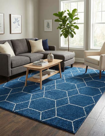 9' x 12' Lattice Frieze Rug