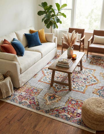 7' x 10' Budapest Rug