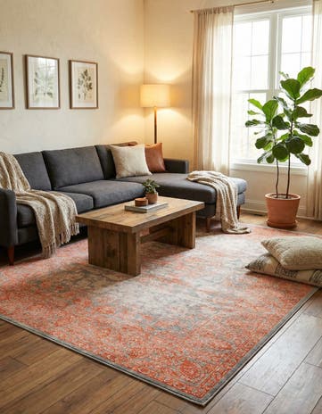 8' x 11' 4 Modern Classical Rug