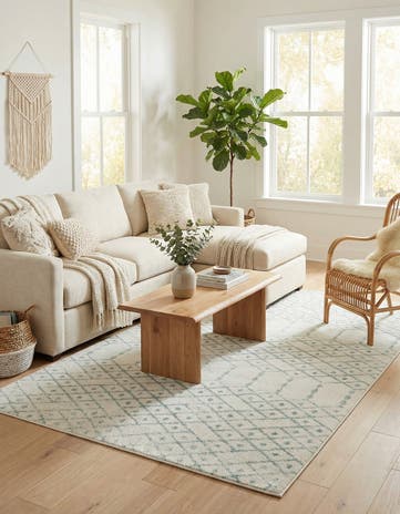 6' x 9' Paxon Trellis Rug