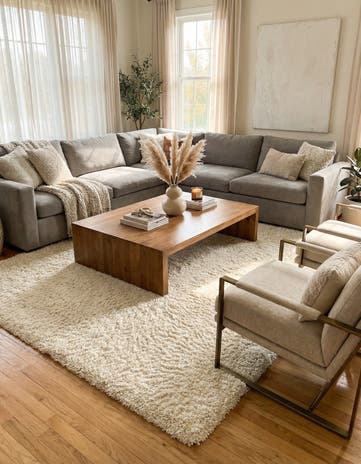 10' x 13' Solid Shag Rug