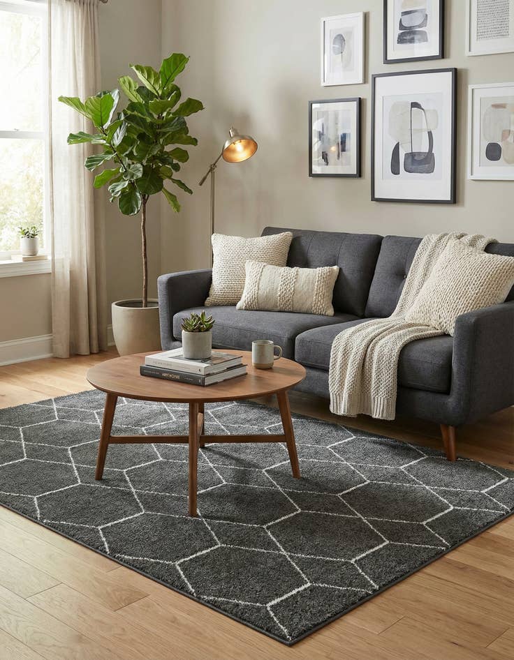 Detail image of  4' x 6' Lattice Frieze Rug