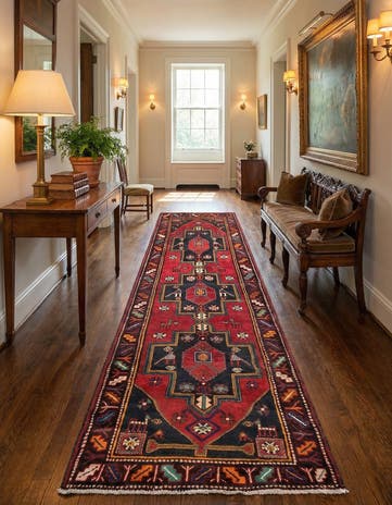 3' 5 x 10' 2 Hamedan Runner Rug