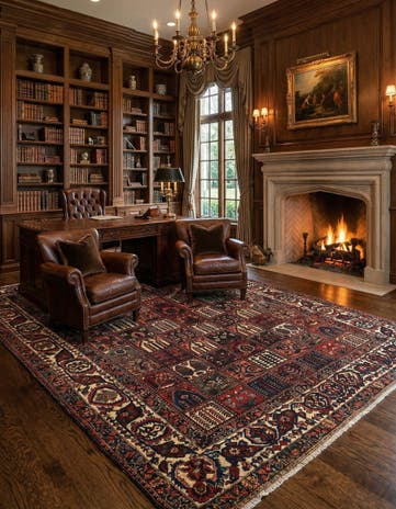 11' 3 x 15' 3 Bachtiar Wool Rug