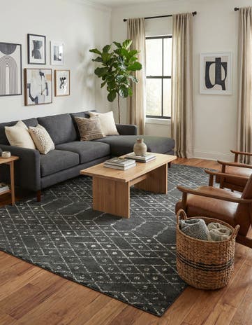 10' x 14' Paxon Trellis Rug