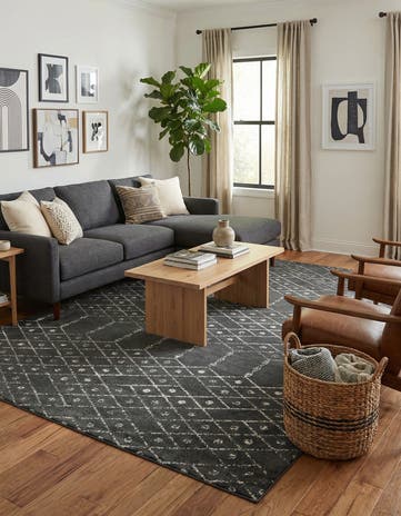 10' x 14' Paxon Trellis Rug