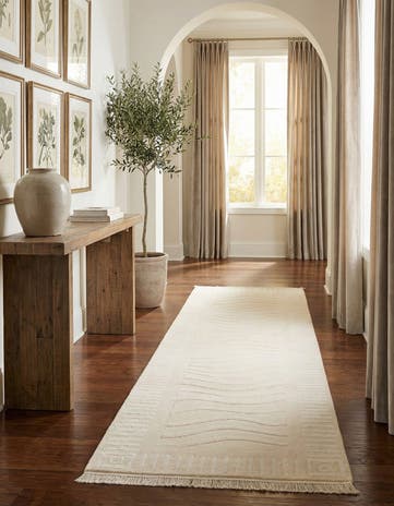 2' 9 x 9' 8 Darya Runner Rug