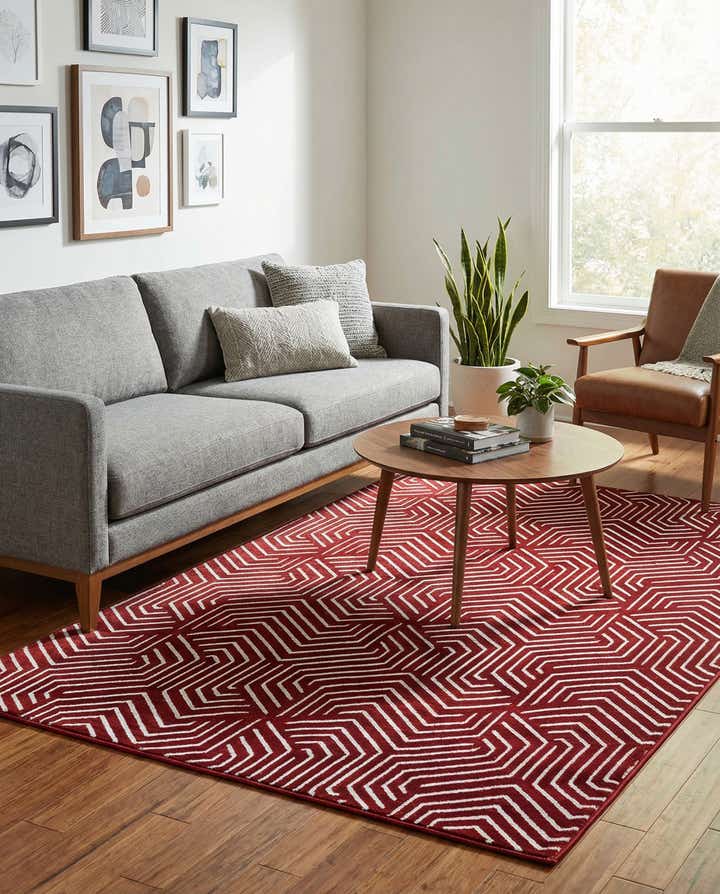 4' x 6' Aakaar Rug