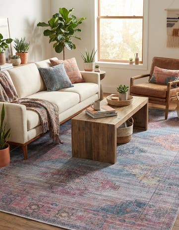 5' 3 x 8' Washable Sisu Rug