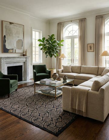 9' 10 x 14' 1 Hand Knotted Darya Wool Rug