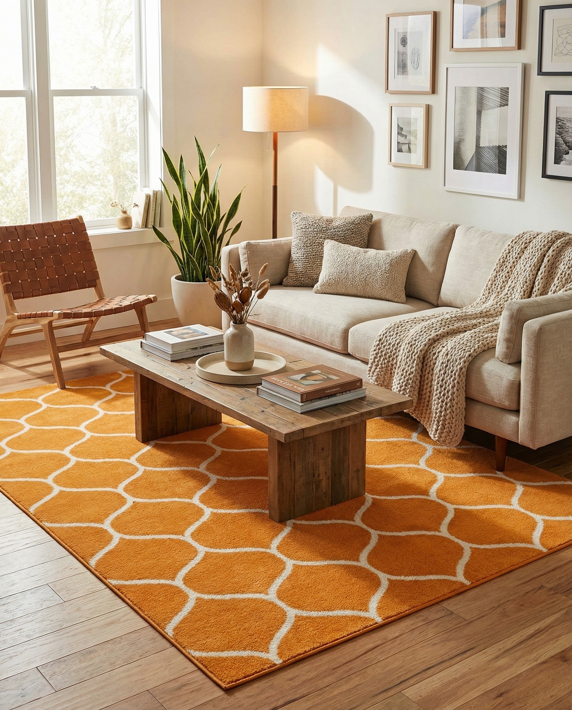 A vibrant 7x10 rectangular orange area rug with a modern white trellis pattern, suitable for a living room.
