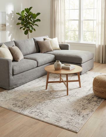 Gray Caspian Rug