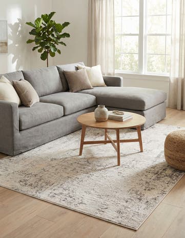 Gray Caspian Rug