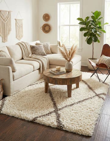 5' x 8' Infinity Shag Rug