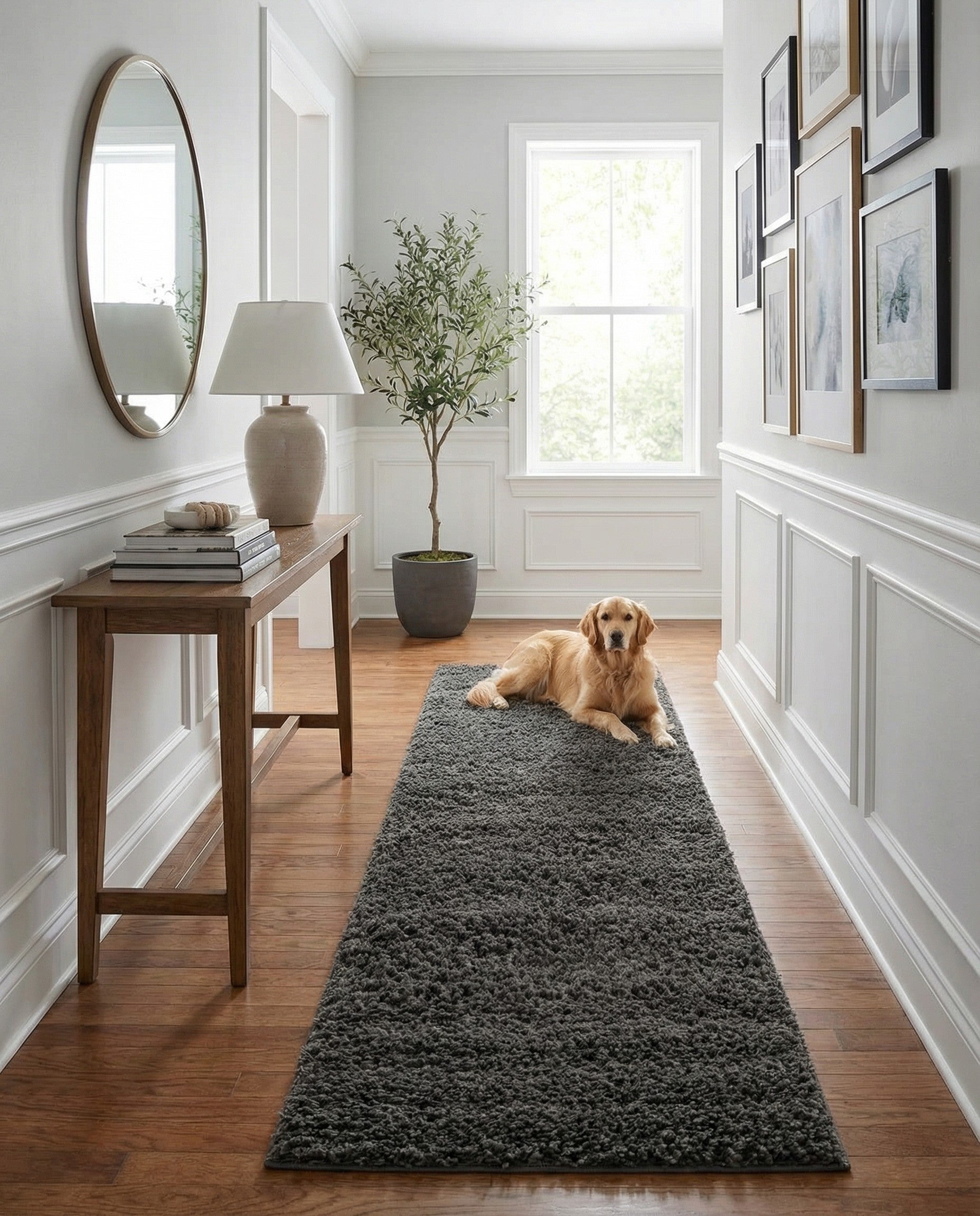 A long, dark gray shag runner rug, 20 ft in length, showcasing its soft, textured pile, ideal for a hallway.