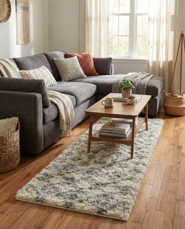  2' x 5' Moroccan Trellis Shag Runner Rug