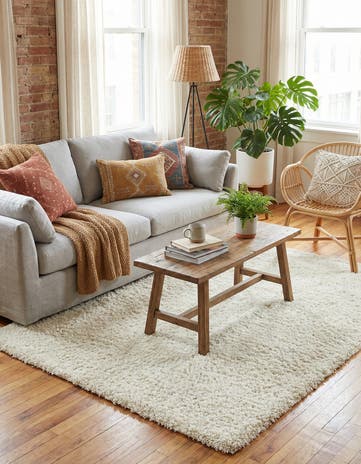 6' x 9' Solid Shag Rug
