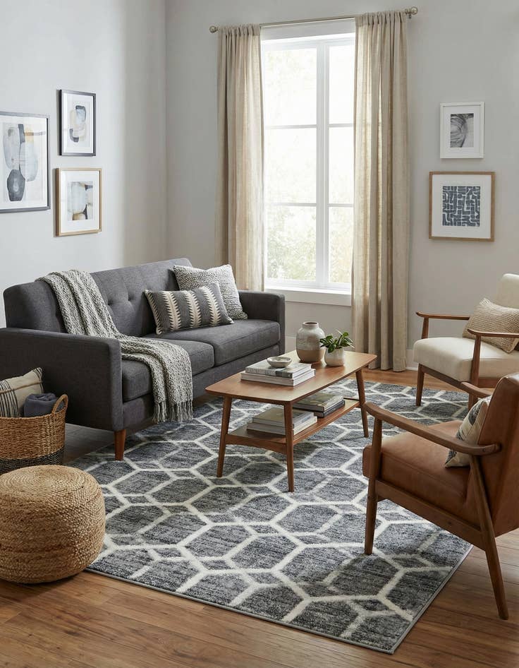 Detail image of 4' x 6' Lattice Trellis Rug