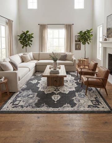 10' x 14' Parker Rug