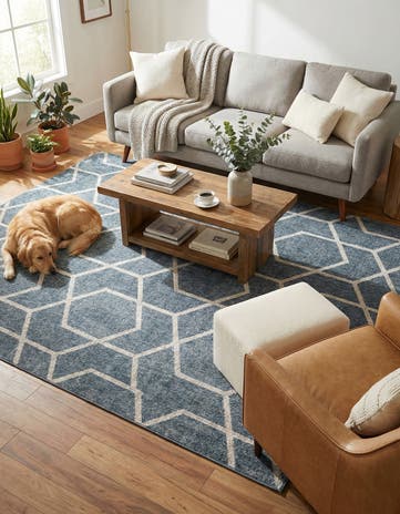 7' 10 x 10' Eco Trellis Rug