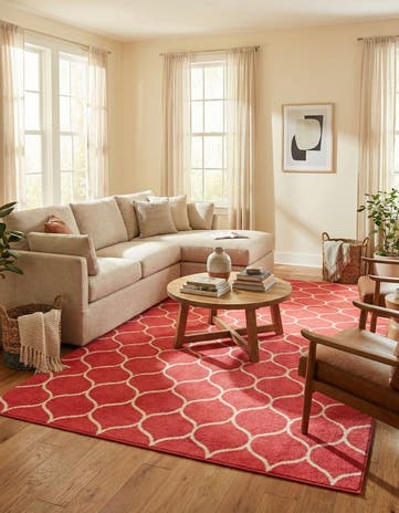 10' x 14' Lattice Frieze Rug