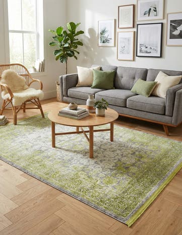 4' x 6' Modern Classical Rug