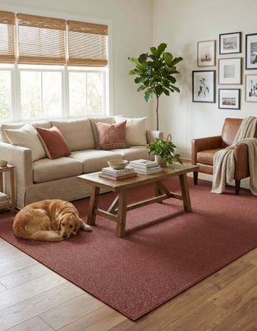 7' 10 x 11' Everyday Solid Rug