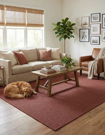 7' 10 x 11' Everyday Solid Rug