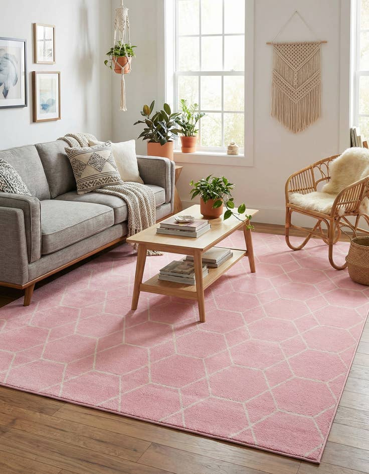 Detail image of  10' x 14' Lattice Frieze Rug