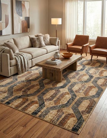 10' x 14' Saturn Rug
