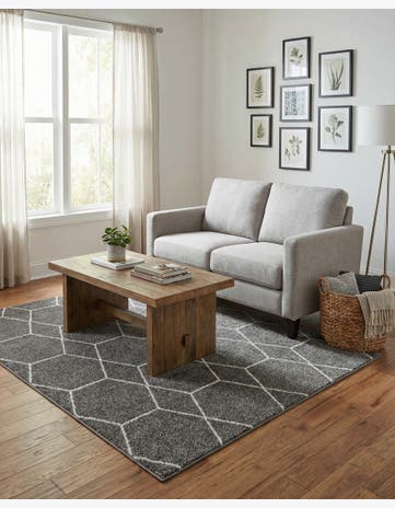 4' x 6' Trellis Frieze Rug