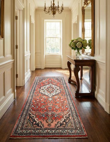 3' 4 x 8' 2 Hamedan Rug