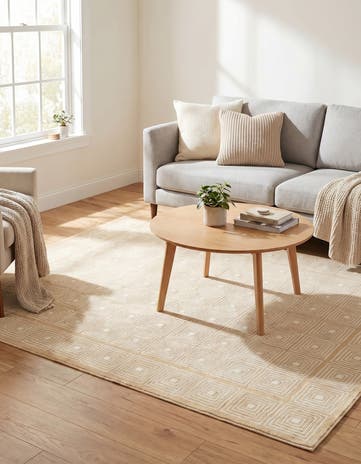 4' x 6' Aakaar Rug