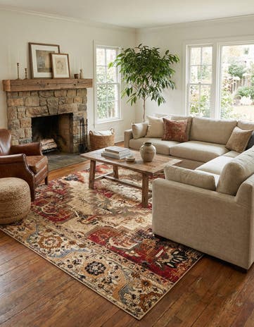 10' x 14' Saturn Rug