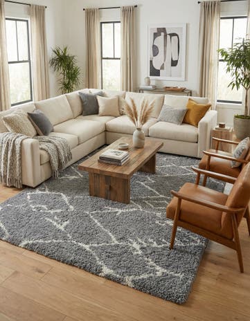 Ash Gray Infinity Shag Rug