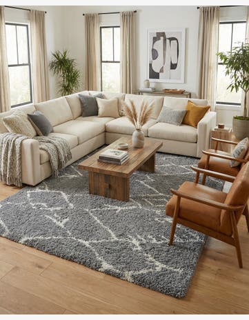 10' x 14' Infinity Shag Rug