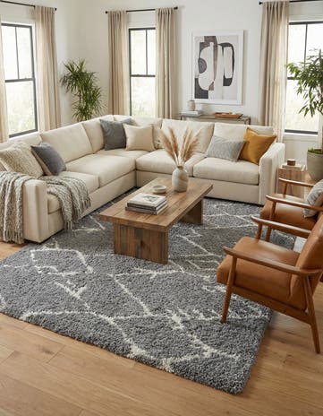 Ash Gray Infinity Shag Rug