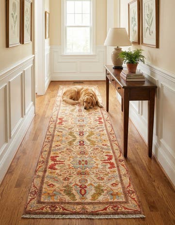 3' 3 x 11' 10 Boutique Runner Rug