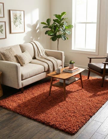 4' x 6' Solid Shag Rug