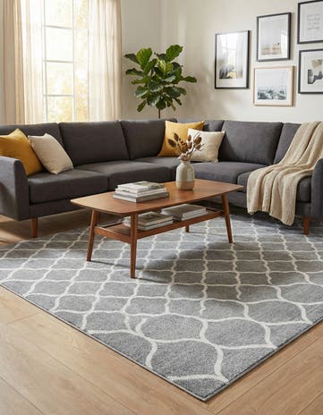 6' x 9' Lattice Frieze Rug