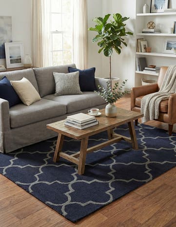 4' x 6' Luna Rug