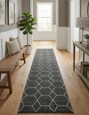 3' 3 x 16' 5 Lattice Frieze Runner Rug