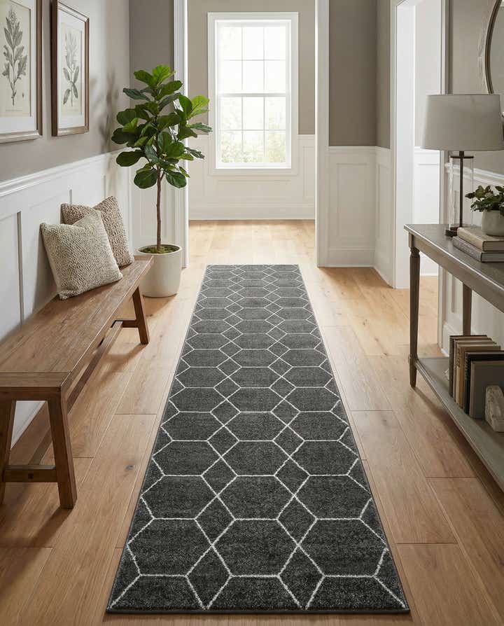 3' 3 x 16' 5 Trellis Frieze Runner Rug