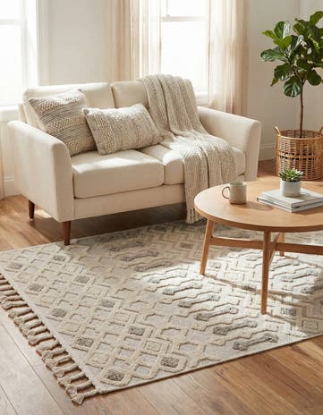 3' 3 x 5' 3 Arlo Rug