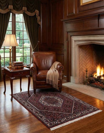 2' 6 x 3' 5 Bidjar Rug
